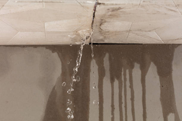Professional Flood Damage Cleanup technician working in Dimondale, MI